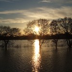 IMG Floods Jan 2011